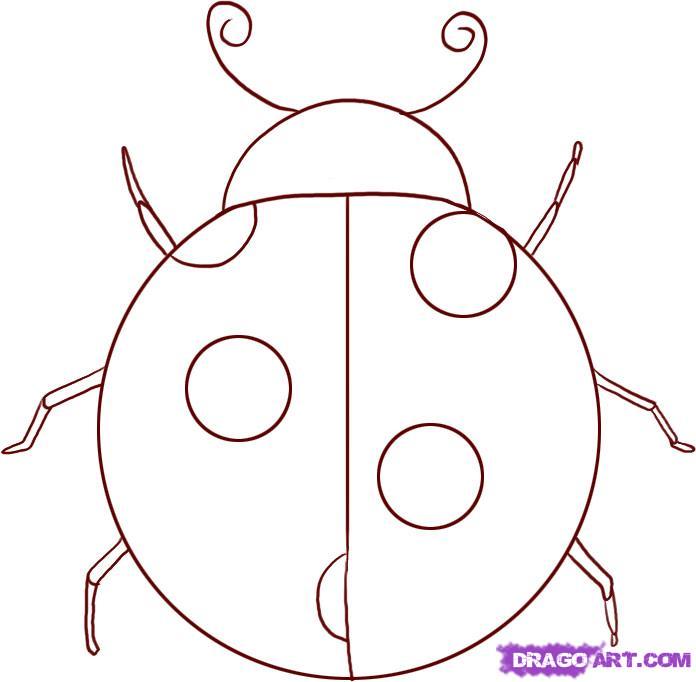 696x682 Simple Ladybug Drawing Free Image - Simple Ladybug Drawing
