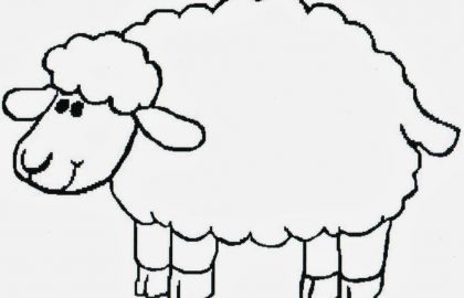 420x270 Cute Lamb Drawing Excellent Babylamb With Baby Lamb Drawing - Simple Lamb Drawing