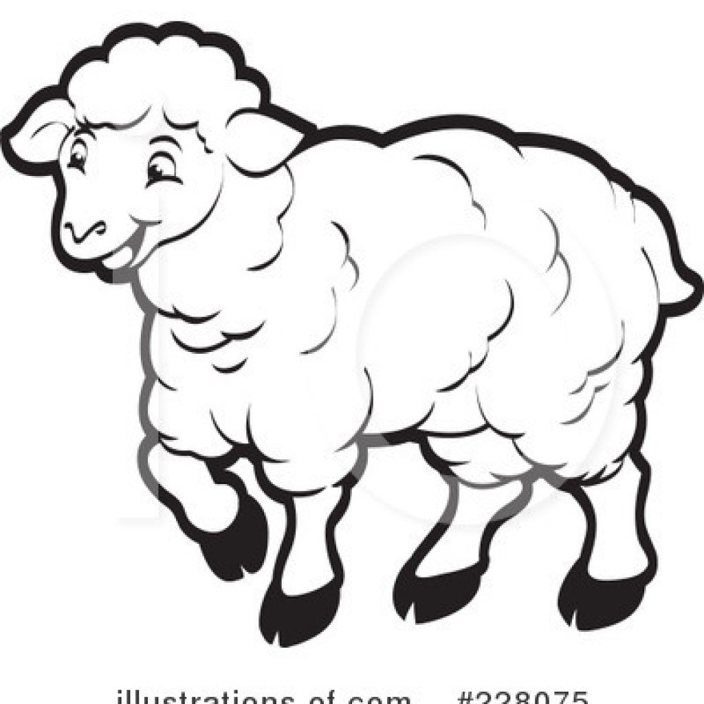 Simple Lamb Drawing at Explore collection of