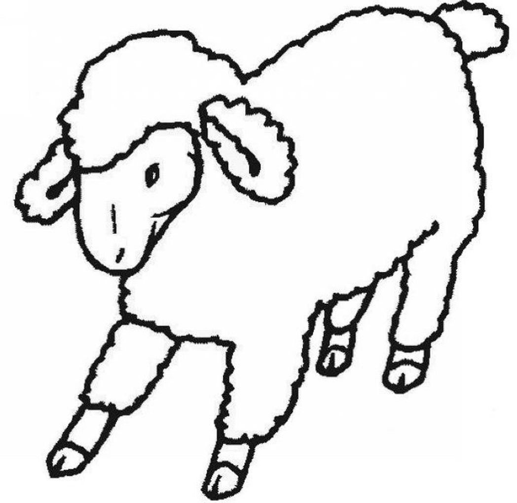 1048x1020 Sheep Color - Simple Lamb Drawing