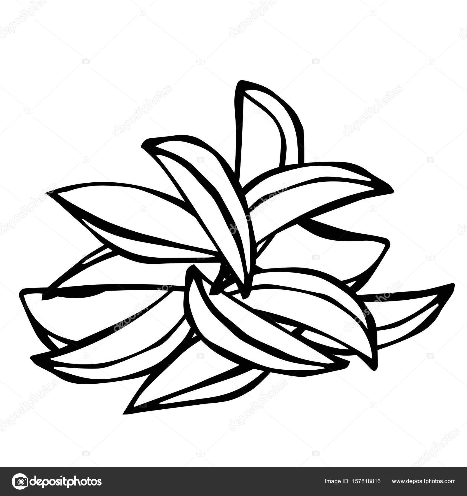 1600x1700 Simple Lamb Drawing - Simple Lamb Drawing