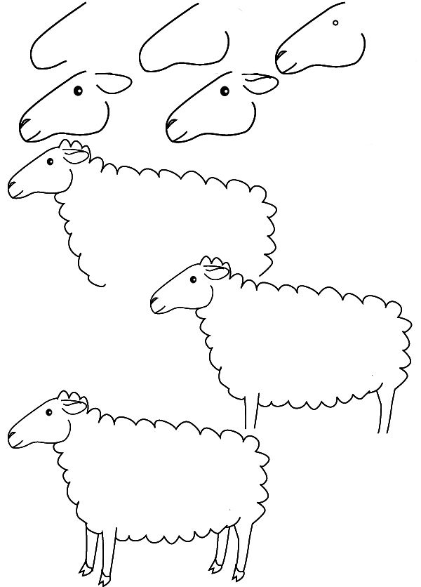 600x836 How To Draw A Sheep Step - Simple Lamb Drawing