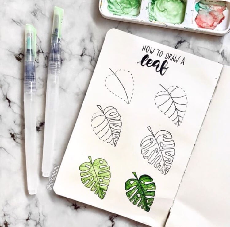 750x739 How To Draw A Simple Leaf Step - Simple Leaf Drawing