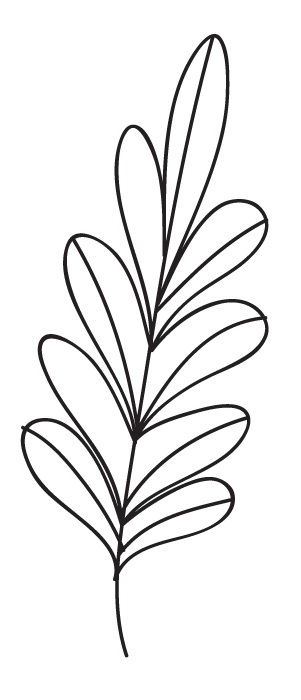 301x700 Temporary Tattoos - Simple Leaf Drawing