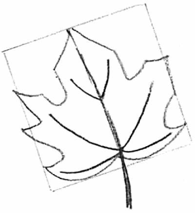 400x437 Easy Simple Leaves Drawing - Simple Leaf Drawing