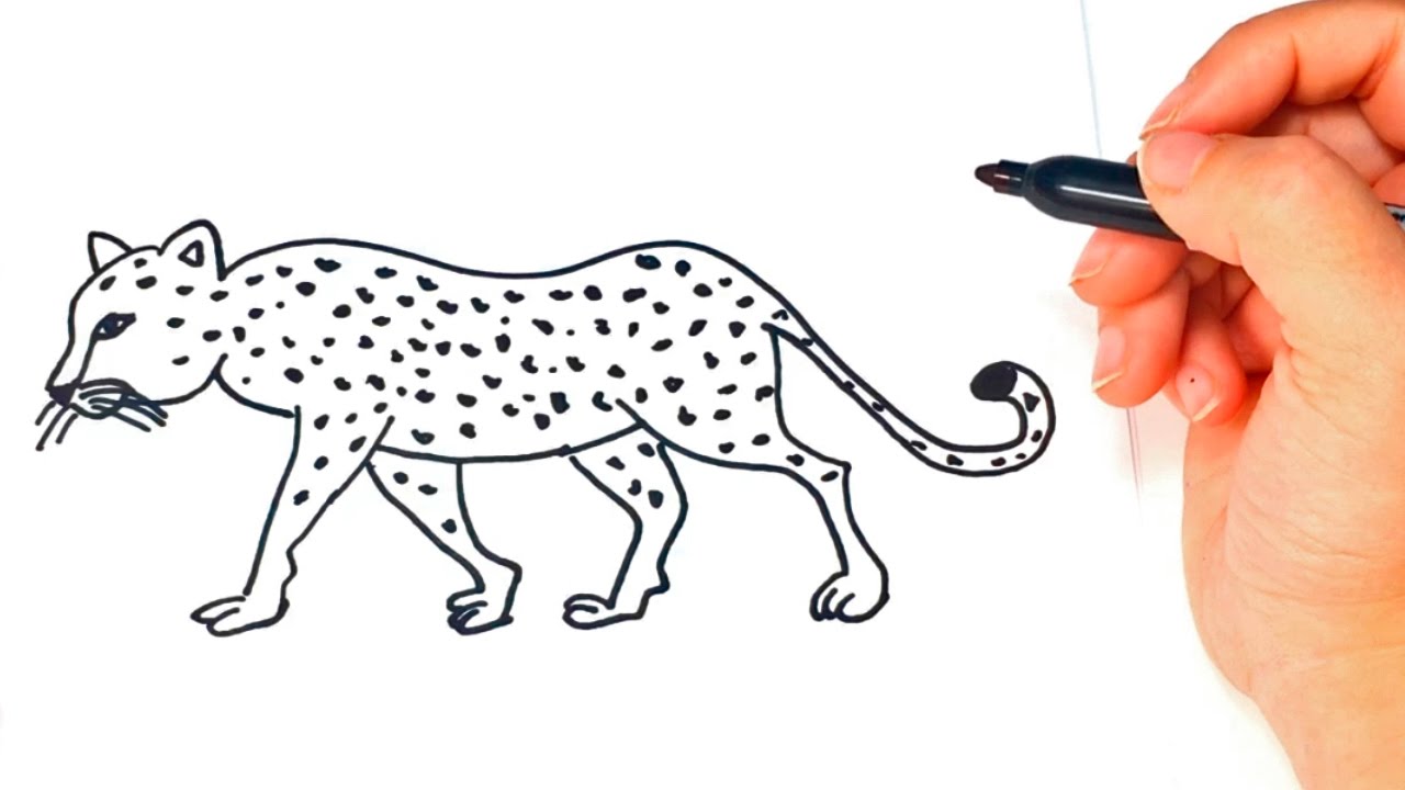 Simple Leopard Drawing at Explore collection of