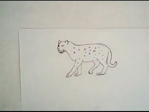 480x360 How To Draw A Leopard - Simple Leopard Drawing