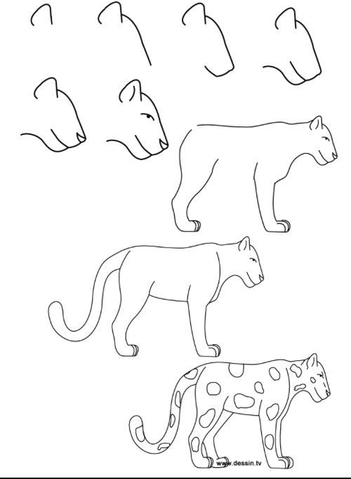 500x682 How To Draw A Leopard Drawing Drawings, Easy Drawings, Jungle Art - Simple Leopard Drawing