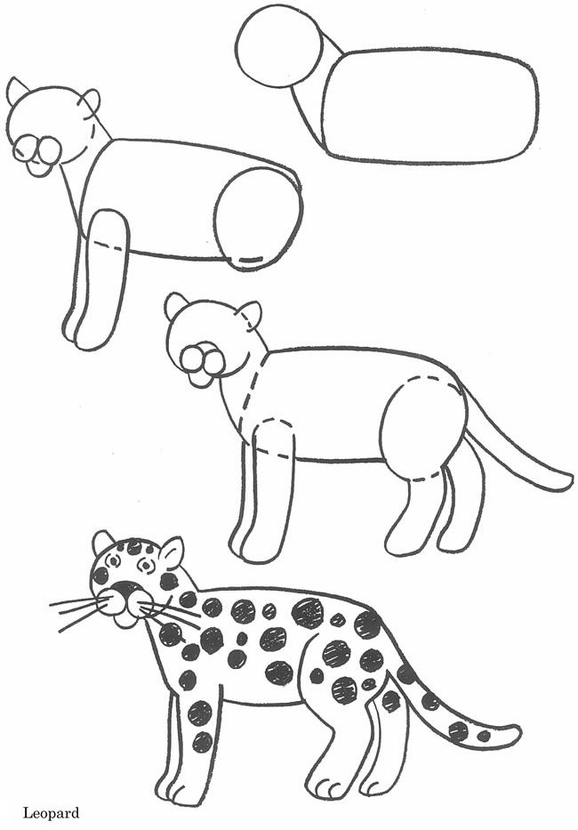 650x933 How To Draw Animals - Simple Leopard Drawing