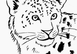 300x210 A Jaguar Animal Youtuberhyoutubecom How Simple Leopard Drawing - Simple Leopard Drawing