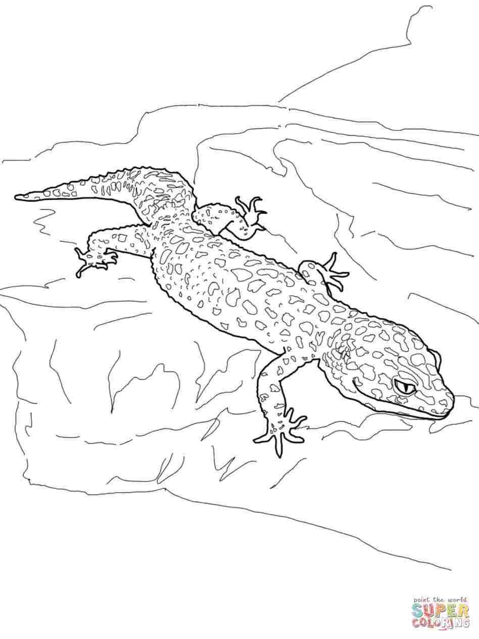 948x1264 A Tiger With Pictures Wikihowrhwikihowcom Easy Simple Leopard - Simple Leopard Drawing