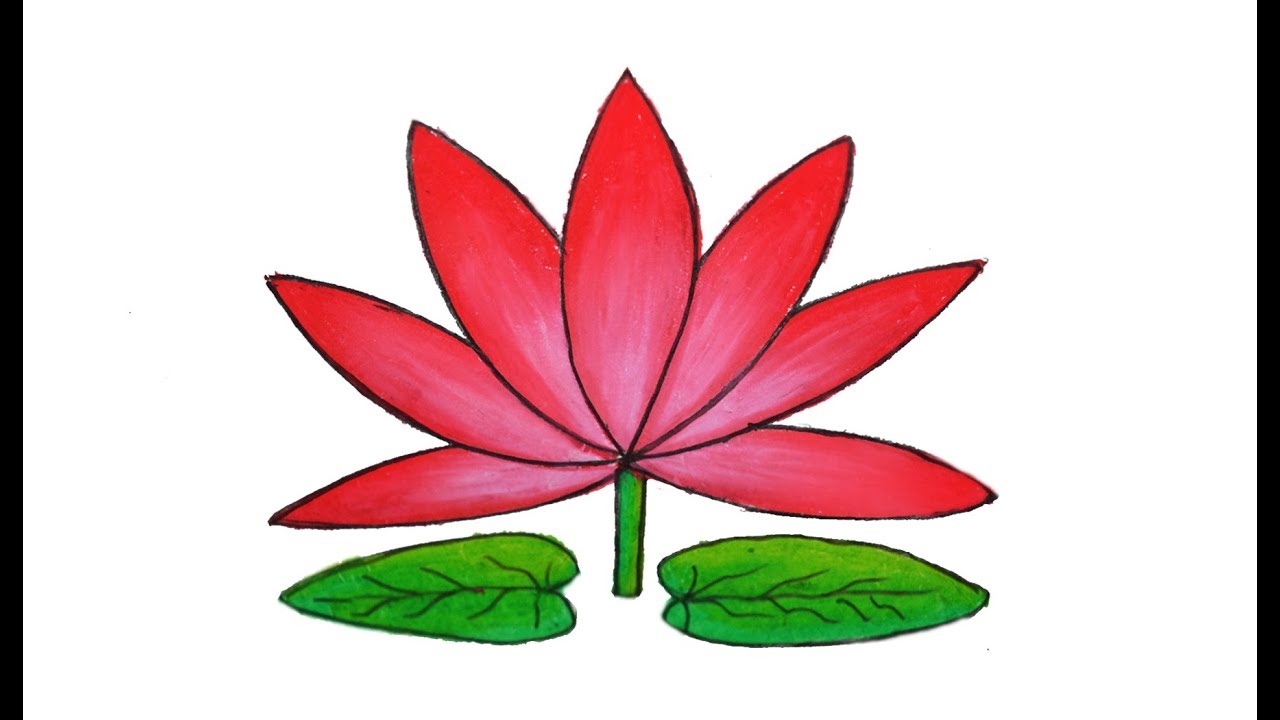 1280x720 How To Draw Water Lily Easy And Simple Shapla Ful Art - Simple Lily Drawing
