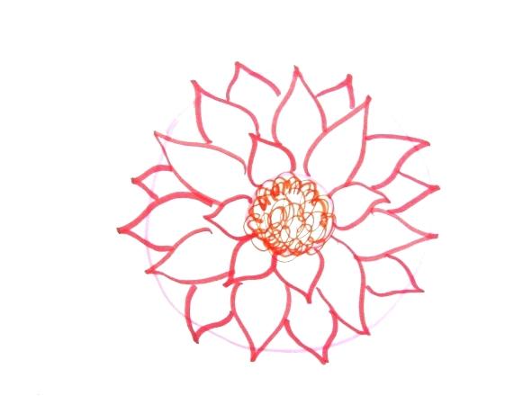 581x460 water lily drawings botany drawing simple mdma - Simple Lily Drawing