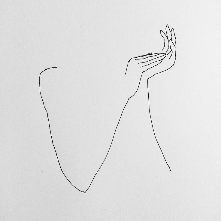 736x736 Fish Line Drawing Group With Items - Simple Line Drawing Artists