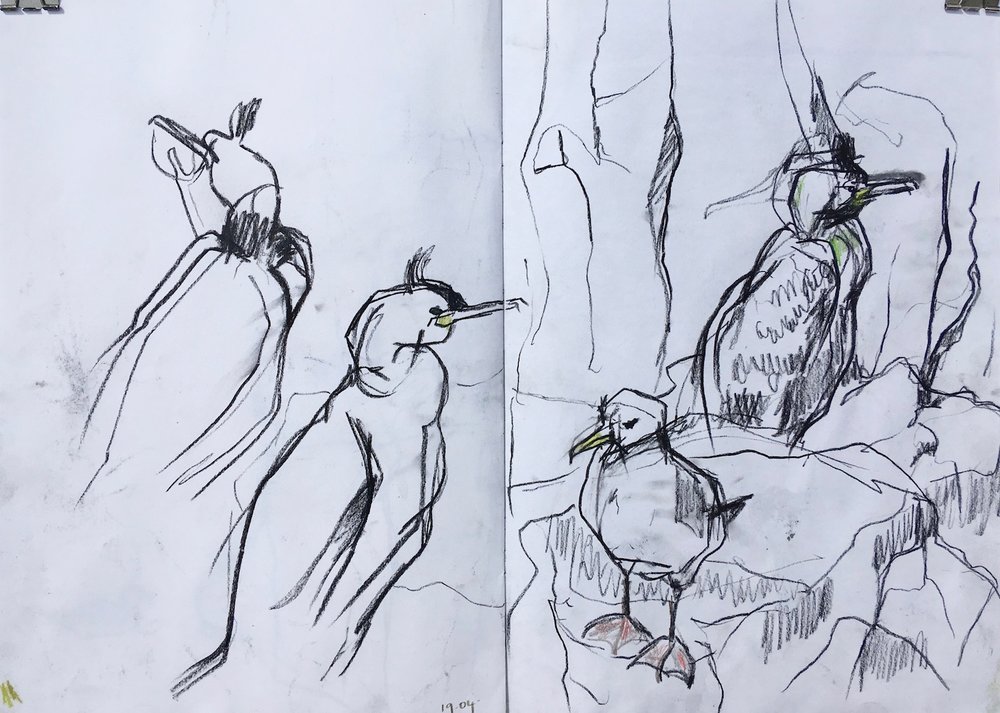 1000x713 blog posts emily ingrey counter - Simple Line Drawing Artists