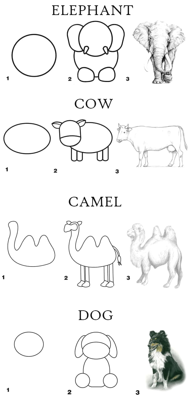 604x1285 Easy To Draw Elephant Head How To Draw Amazing Things In Only - Simple Line Drawing Elephant