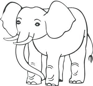 300x278 elephant drawing how to draw elephant for kids step baby - Simple Line Drawing Elephant