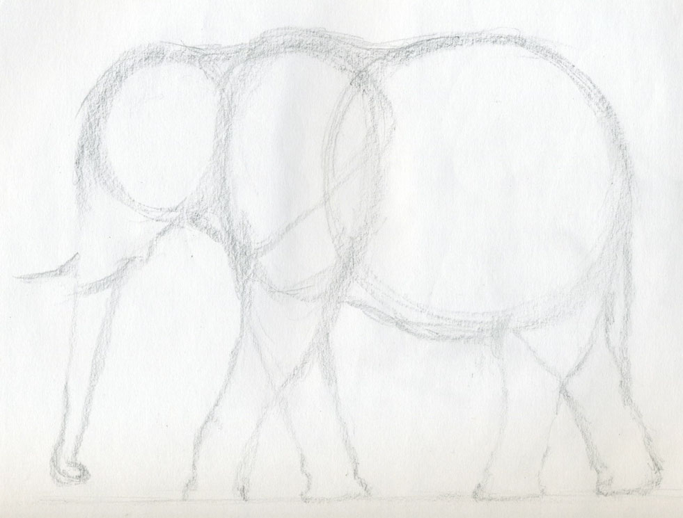 981x745 How To Draw An Elephant - Simple Line Drawing Elephant