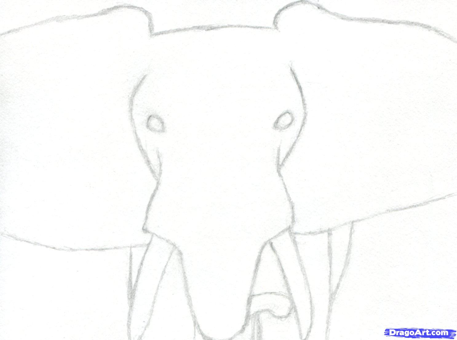 1486x1106 how to draw an elephant head, african elephant, step - Simple Line Drawing Elephant