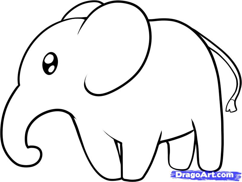 802x604 Huge Collection Of 'elephant Drawing Pictures' Download More Than - Simple Line Drawing Elephant