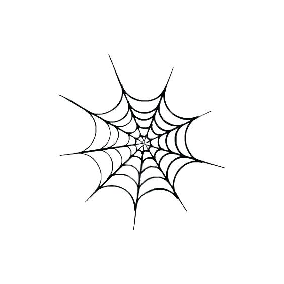 564x564 simple spider drawing tattoo liked on tattoos spider webs simple - Simple Line Drawing Tattoos