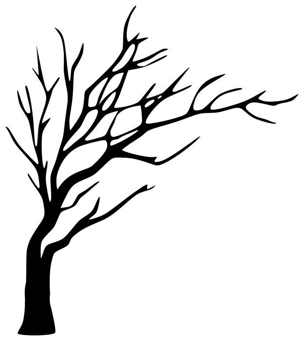 624x698 Drawn Tree Silhouette - Simple Line Drawing Tree