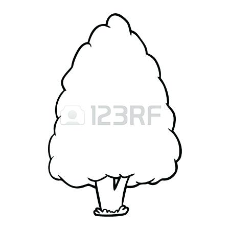 450x450 tall tree drawing vintage tall tree drawing and sketch tall pine - Simple Line Drawing Tree