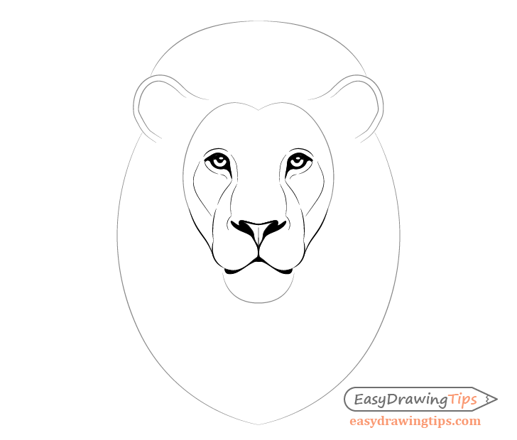 728x620 How To Draw Lion Face Head Step - Simple Lion Drawing