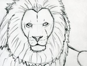 302x232 How To Sketch A Lion, Step - Simple Lion Face Drawing