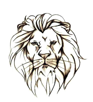 Simple Lion Face Drawing at PaintingValley.com | Explore collection of