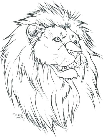 362x480 Simple Lion Drawing Lion Face Outline Drawing At Free For Personal - Simple Lion Face Drawing