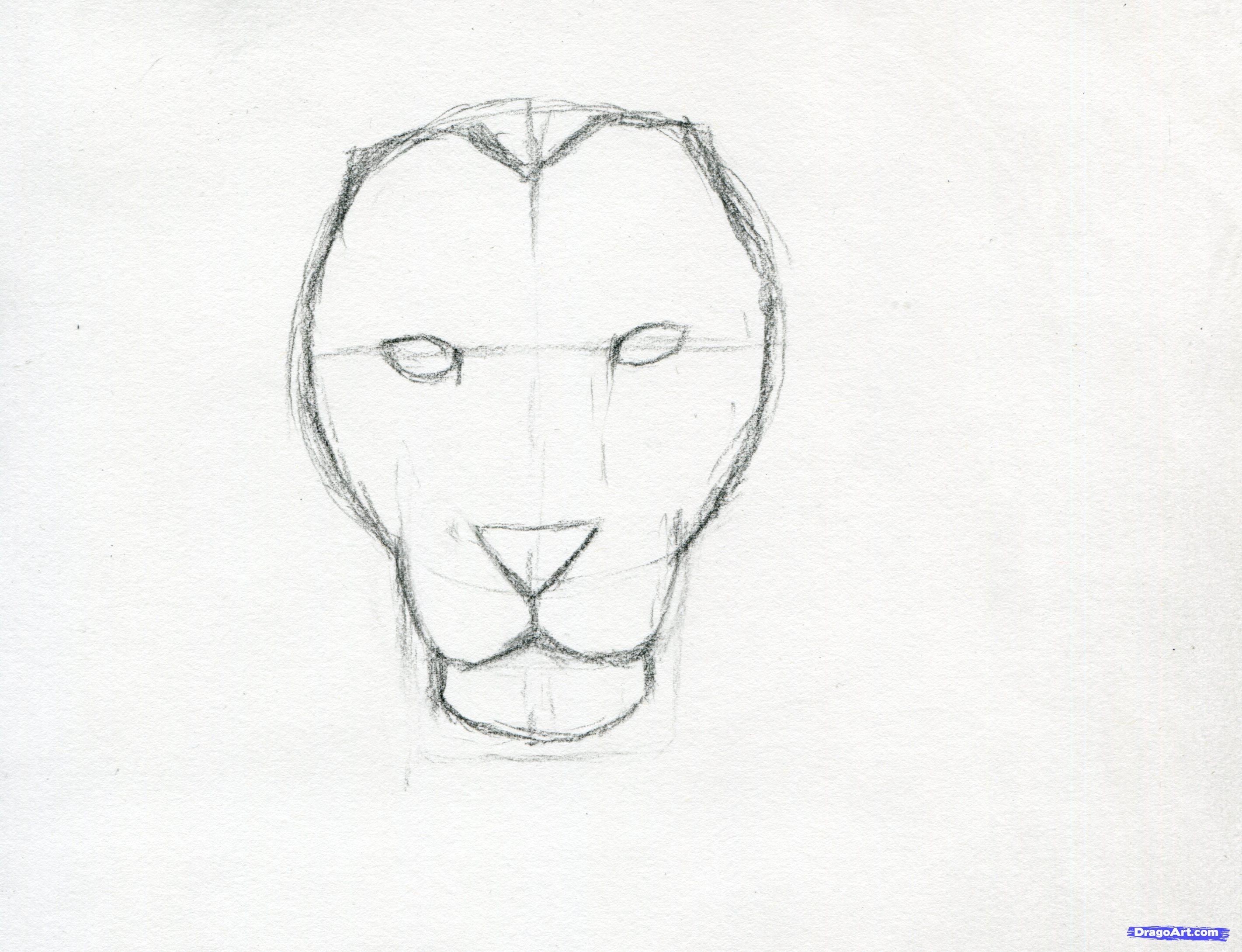 2842x2179 Lion Drawings Easy Sketch Simple Head Drawing Art Gallery - Simple Lion Head Drawing