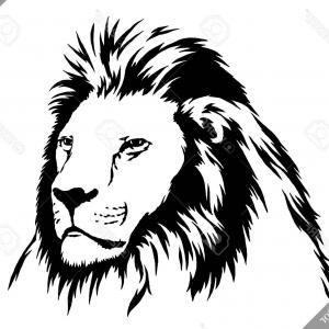 300x300 simple lion head cool gm arenawp - Simple Lion Head Drawing
