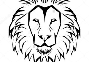 300x210 Basic Lion Drawing Simple Drawing Of A Lion Simple Drawing - Simple Lion Head Drawing