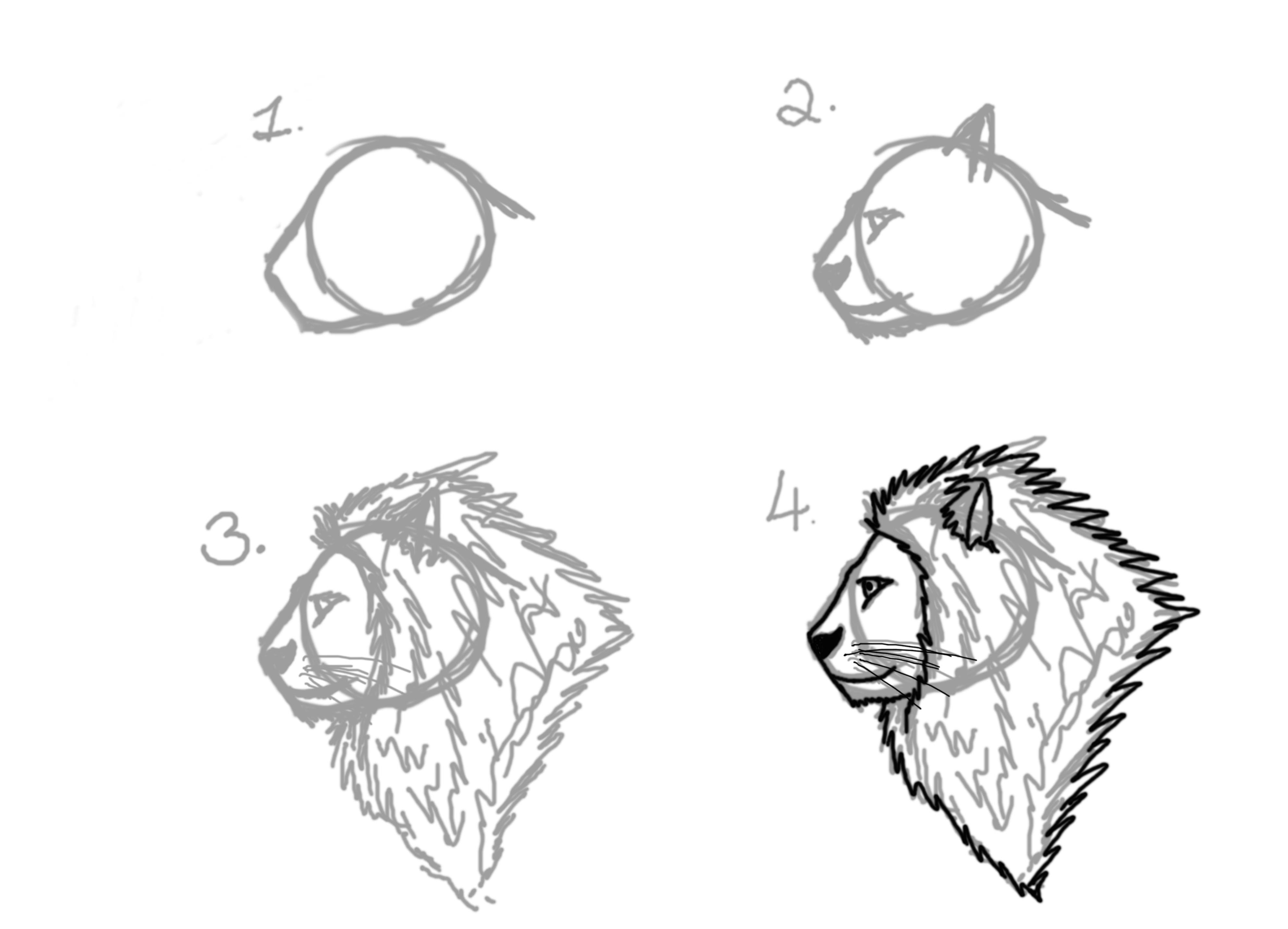 3969x2862 easy drawing lion face pencil drawings lions drawing sketch library - Simple Lion Head Drawing