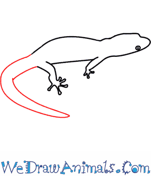 300x350 how to draw a lizard - Simple Lizard Drawing