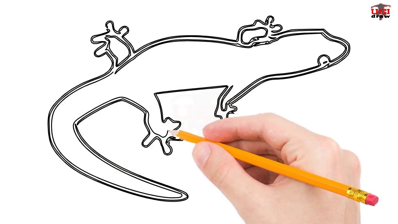 1280x720 how to draw a lizard step - Simple Lizard Drawing