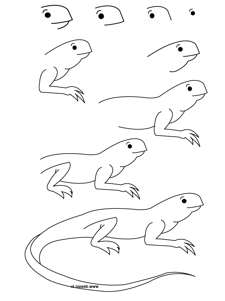 Simple Lizard Drawing at PaintingValley.com | Explore collection of