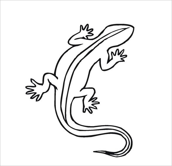 585x566 lizard templates, crafts ampamp colouring pages free - Simple Lizard Drawing