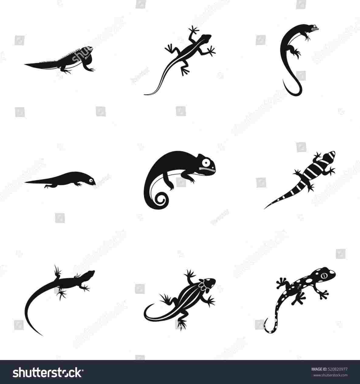 1185x1264 simple lizard drawing decorative iguana simple drawing stock - Simple Lizard Drawing