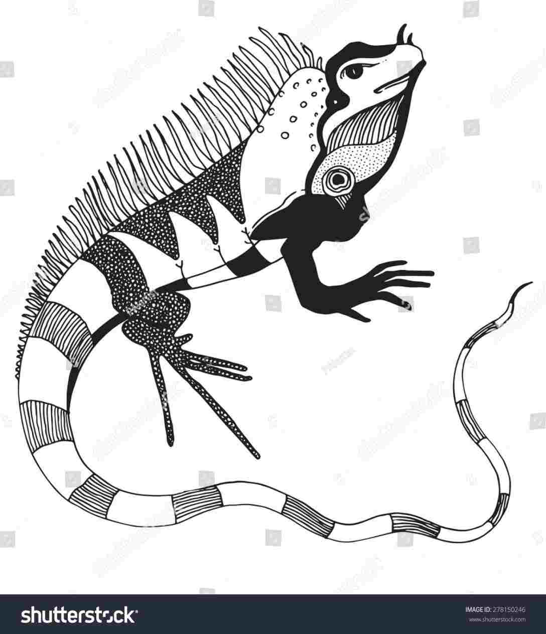 1088x1264 rhshutterstockcom modern simple lizard drawing simple stylish - Simple Lizard Drawing