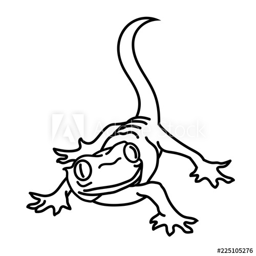 Simple Lizard Drawing at PaintingValley.com | Explore collection of ...