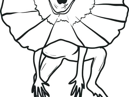 440x330 coloring pages for kids disney adults halloween lizard standing - Simple Lizard Drawing