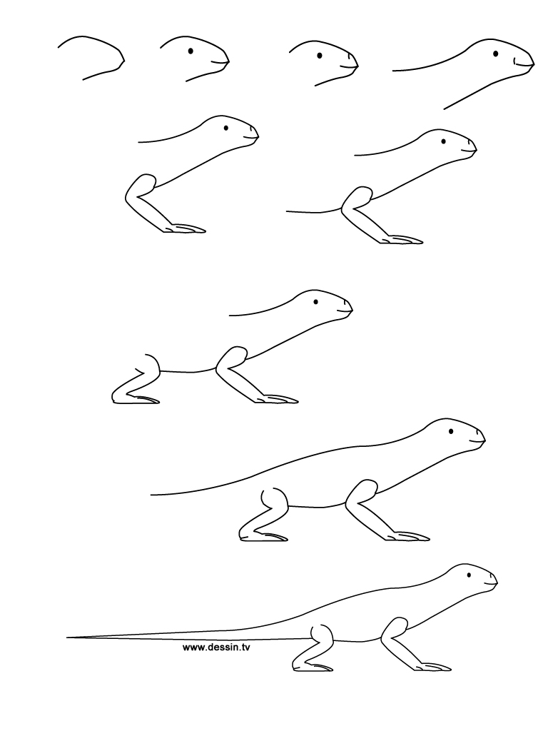768x1024 drawing lizard - Simple Lizard Drawing