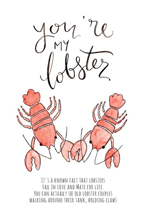 498x747 image result for lobsters holding claws boyfriend lobster - Simple Lobster Drawing