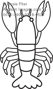 181x300 lobster outline clipart - Simple Lobster Drawing