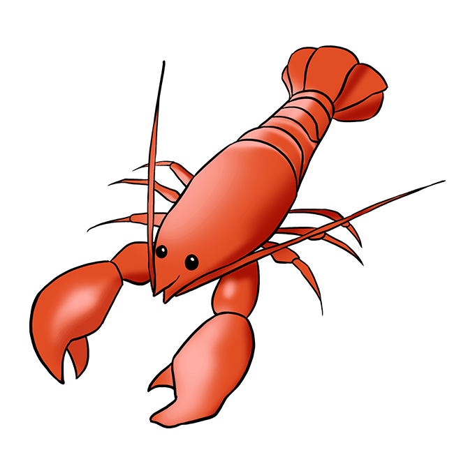 680x678 how to draw a lobster - Simple Lobster Drawing