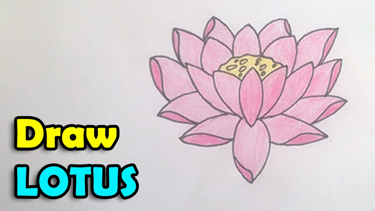 1280x720 How To Draw A Lotus Flower Step - Simple Lotus Flower Drawing