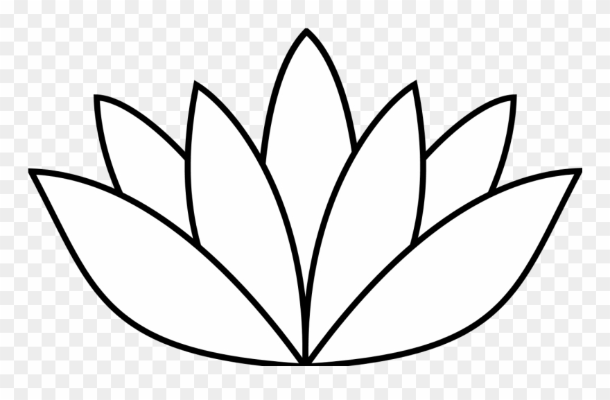 880x577 Find Pictures Flowers To Draw Gallery - Simple Lotus Flower Drawing
