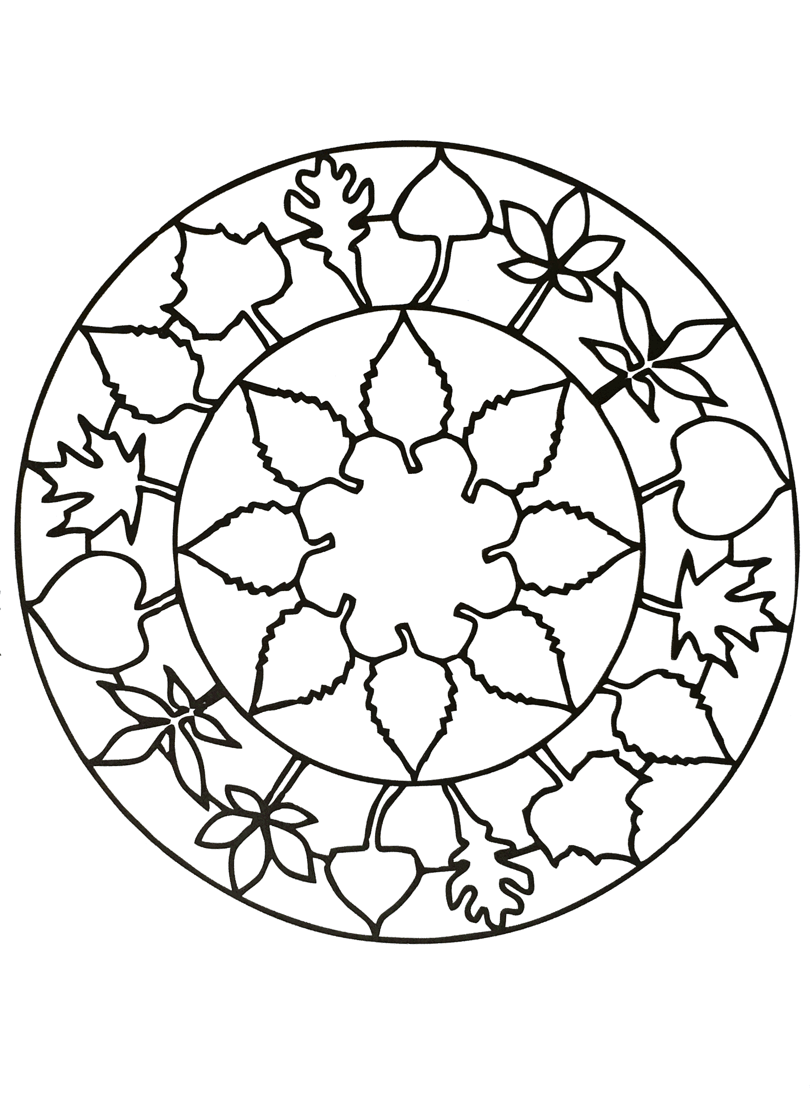 1583x2159 Simple Mandala With Cute Leaves - Simple Mandala Drawing